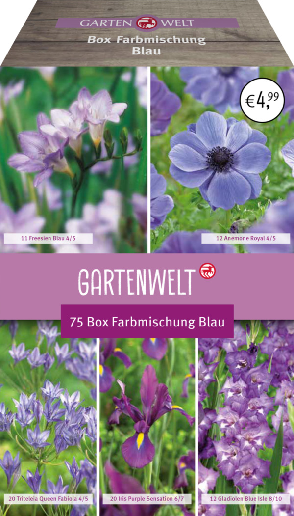 Bild 1 von GARTENWELT Blumen-Box Farbmischung Blau