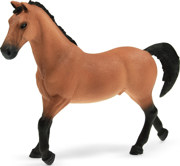 Bild 1 von Schleich 72136 Trakehner Hengst