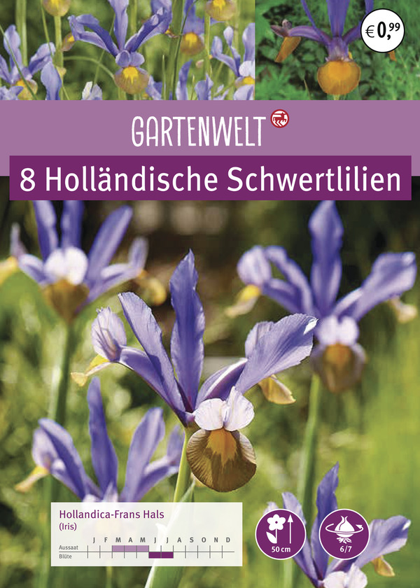 Bild 1 von GARTENWELT Holländische Schwertlilien Iris