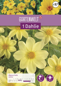 GARTENWELT Dahlie Mignon-Gelb