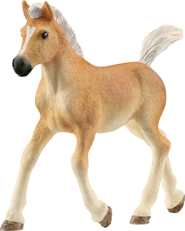 Bild 1 von Schleich 13951 Haflinger Fohlen