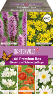 GARTENWELT Premium Blumen-Box Bienen und Schmetterlingen