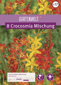 GARTENWELT Crocosmia Mischung