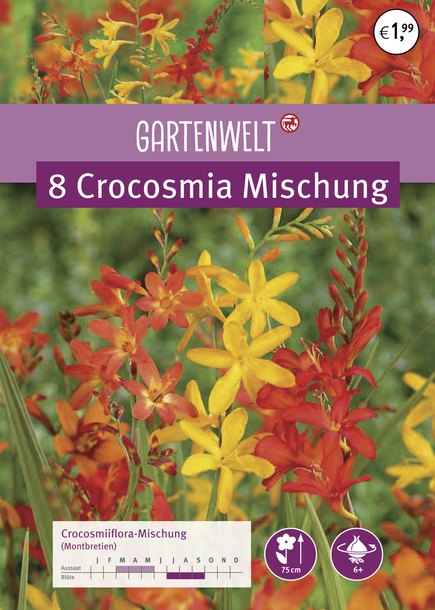 Bild 1 von GARTENWELT Crocosmia Mischung