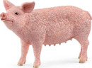 Bild 1 von Schleich 13933 Schwein