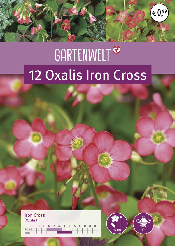 Bild 1 von GARTENWELT Oxalis Iron Cross