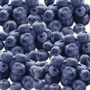 Bild 2 von Golden B Blueberries Premium Kultur-Heidelbeeren