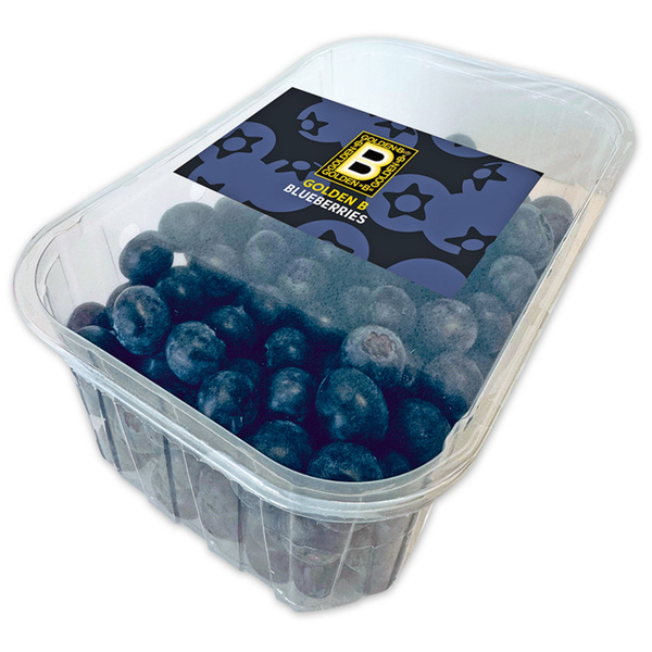 Bild 1 von Golden B Blueberries Premium Kultur-Heidelbeeren