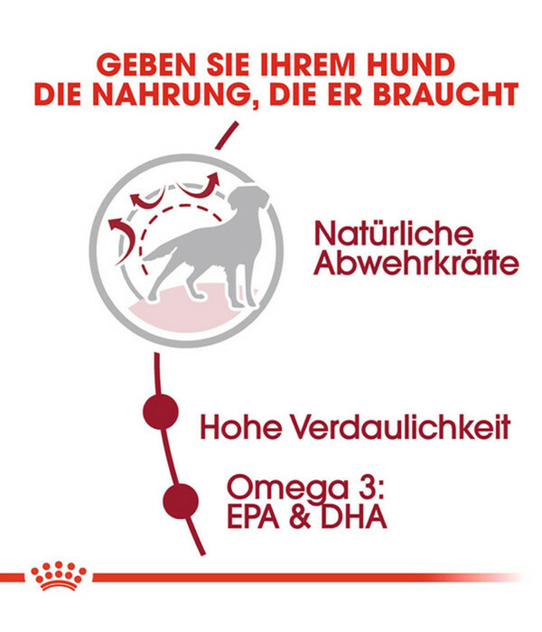 Bild 3 von ROYAL CANIN® Trockenfutter für Hunde Medium Adult
