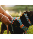 Bild 2 von RUFFWEAR® Hundegeschirr Front Range®, Spring Mountains, S