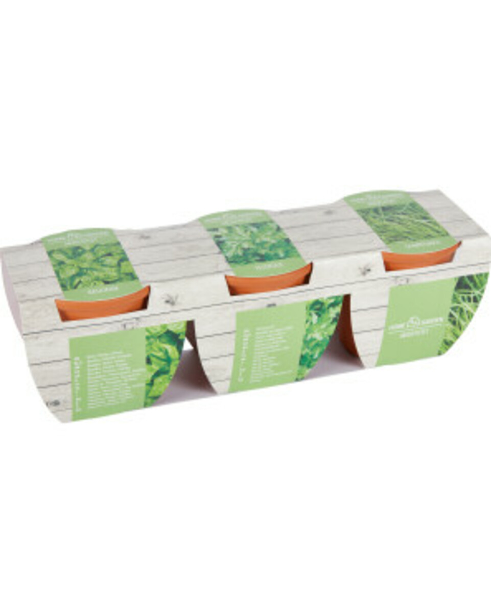 Bild 1 von Anzuchtset Kräuter, 3er-Pack, grün
