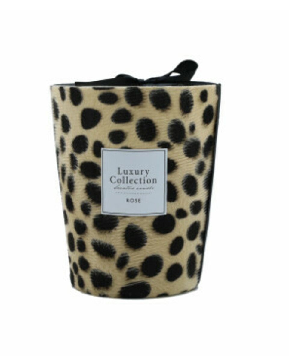 Bild 1 von Duftkerze, 456g, Rose, creme