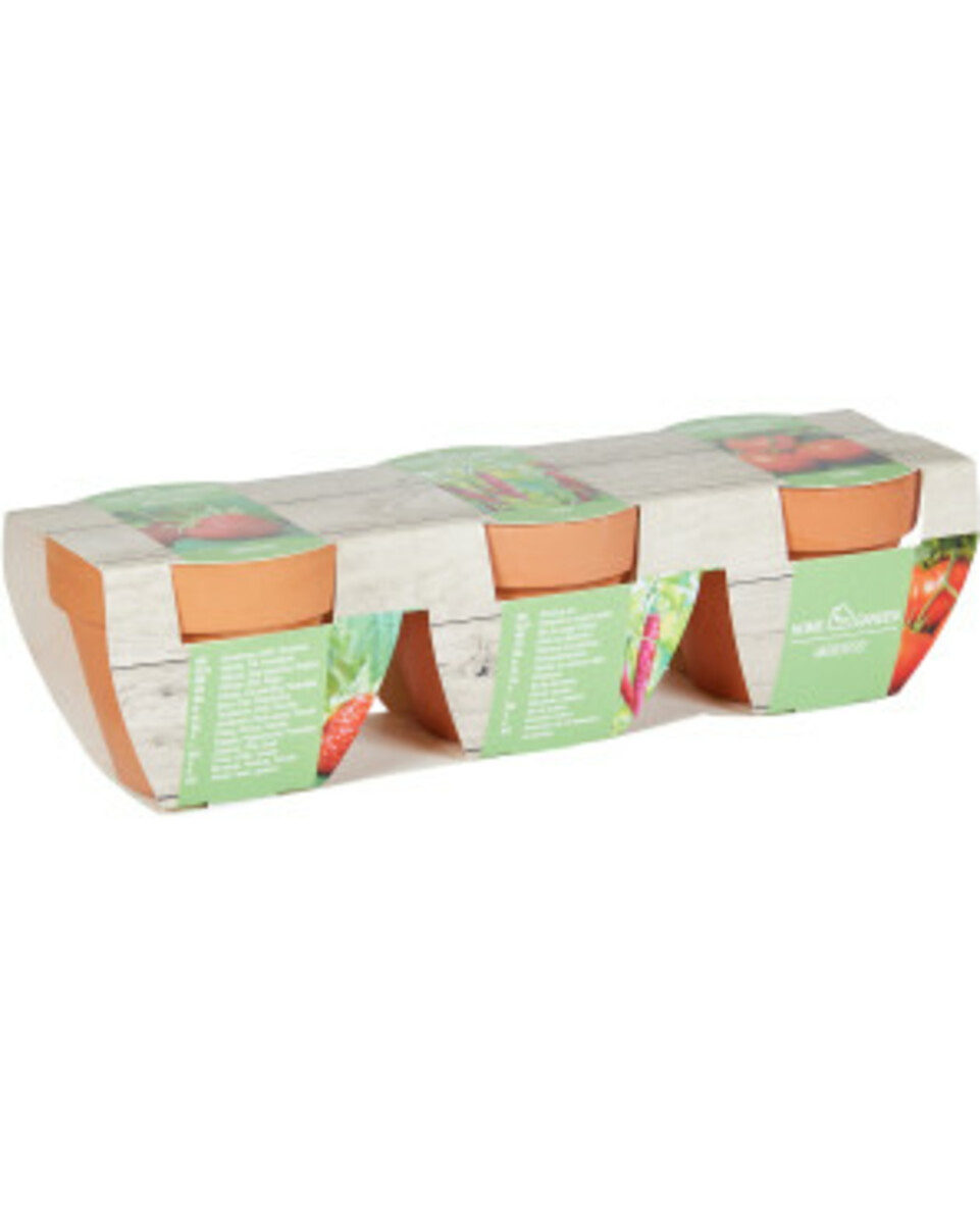Bild 1 von Anzuchtset Chili, Erdbeere und Tomate, 3er-Pack, rot