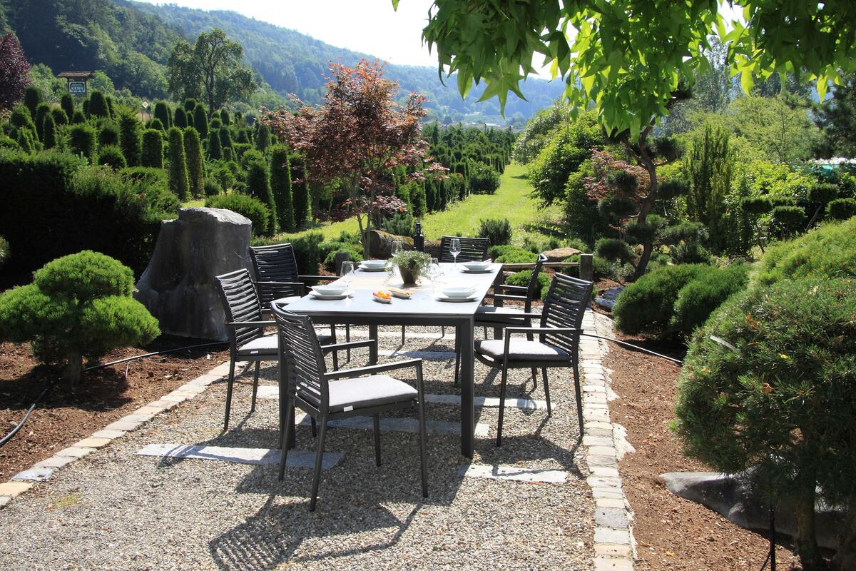 Bild 1 von Gartenset 5-tlg. Metall/Glas/ Textil/Kunststof/Holzwerkstoff, Anthrazit, Dunkelgrau, Teakfarben