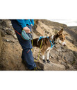Bild 2 von RUFFWEAR® Hitch Hiker™ Hunde-Leinensystem Slate Blue, ca. 3,65 m
