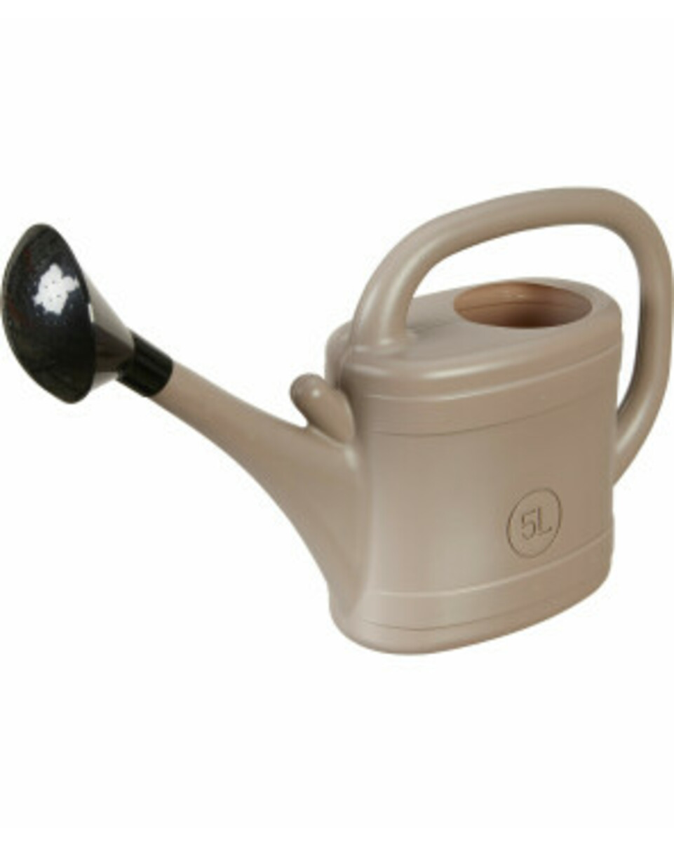 Bild 1 von Gießkanne mit Brauseaufsatz, ca. 5 l, braun