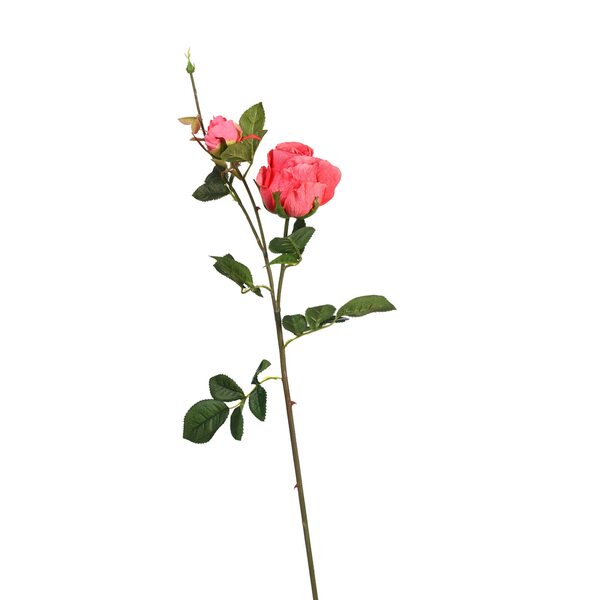 Bild 1 von Stielblume ROSE ca.80cm, pink
