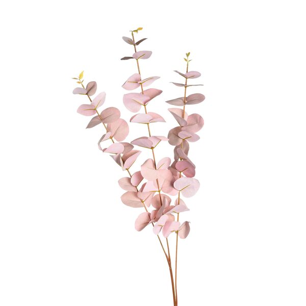 Bild 1 von Zweig EUKALYPTUS ca.100cm, rosa