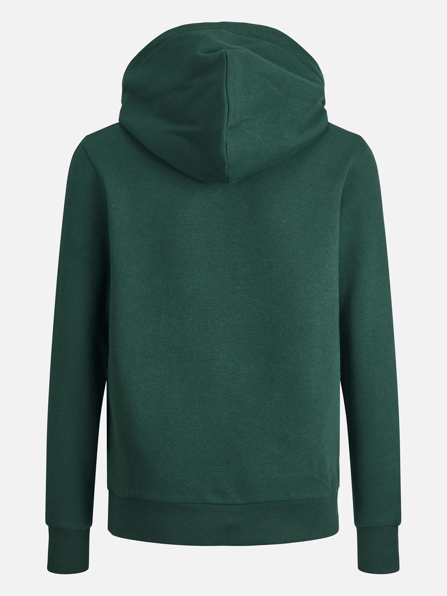 Bild 2 von Jack&Jones Junior JJECORP LOGO SWEAT HO Hoodie
                 
                                                        Grün