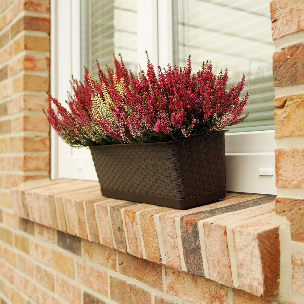 Bild 1 von Powertec Garden Pflanzkasten 2er-Set