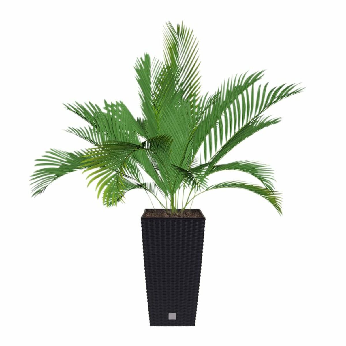 Bild 1 von Polyrattan-Pflanztopf mit Einsatz 22x42x22cm Anthrazit