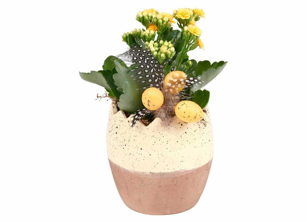 Bild 1 von Bepflanztes Keramik-Osterei mit Kalanchoe und Deko