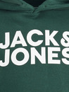 Bild 3 von Jack&Jones Junior JJECORP LOGO SWEAT HO Hoodie
                 
                                                        Grün
