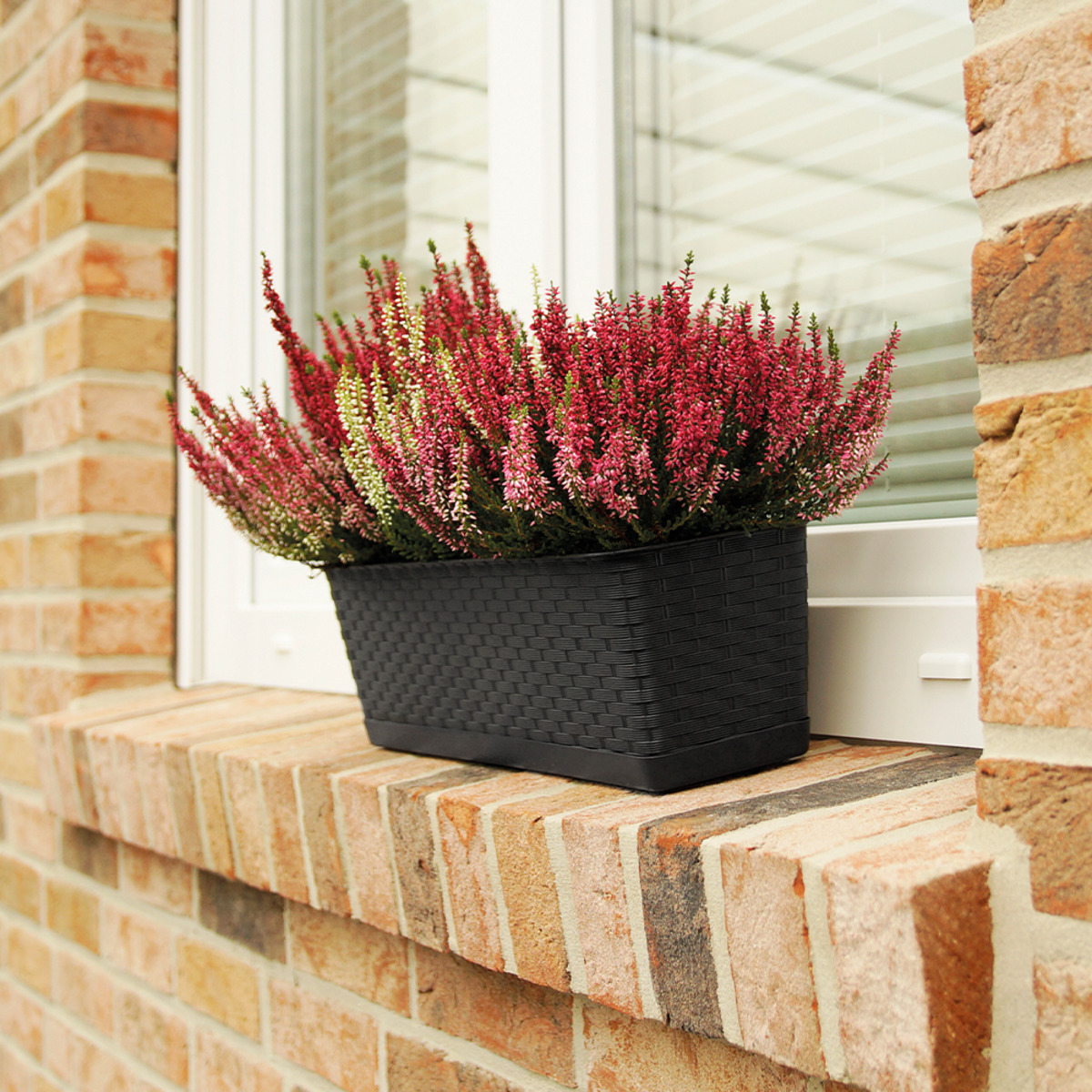 Bild 1 von Powertec Garden Pflanzkasten 2er-Set klein