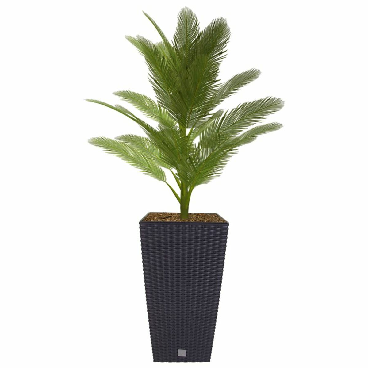 Bild 1 von Polyrattan-Pflanztopf mit Einsatz 26x50,5x26cm Anthrazit