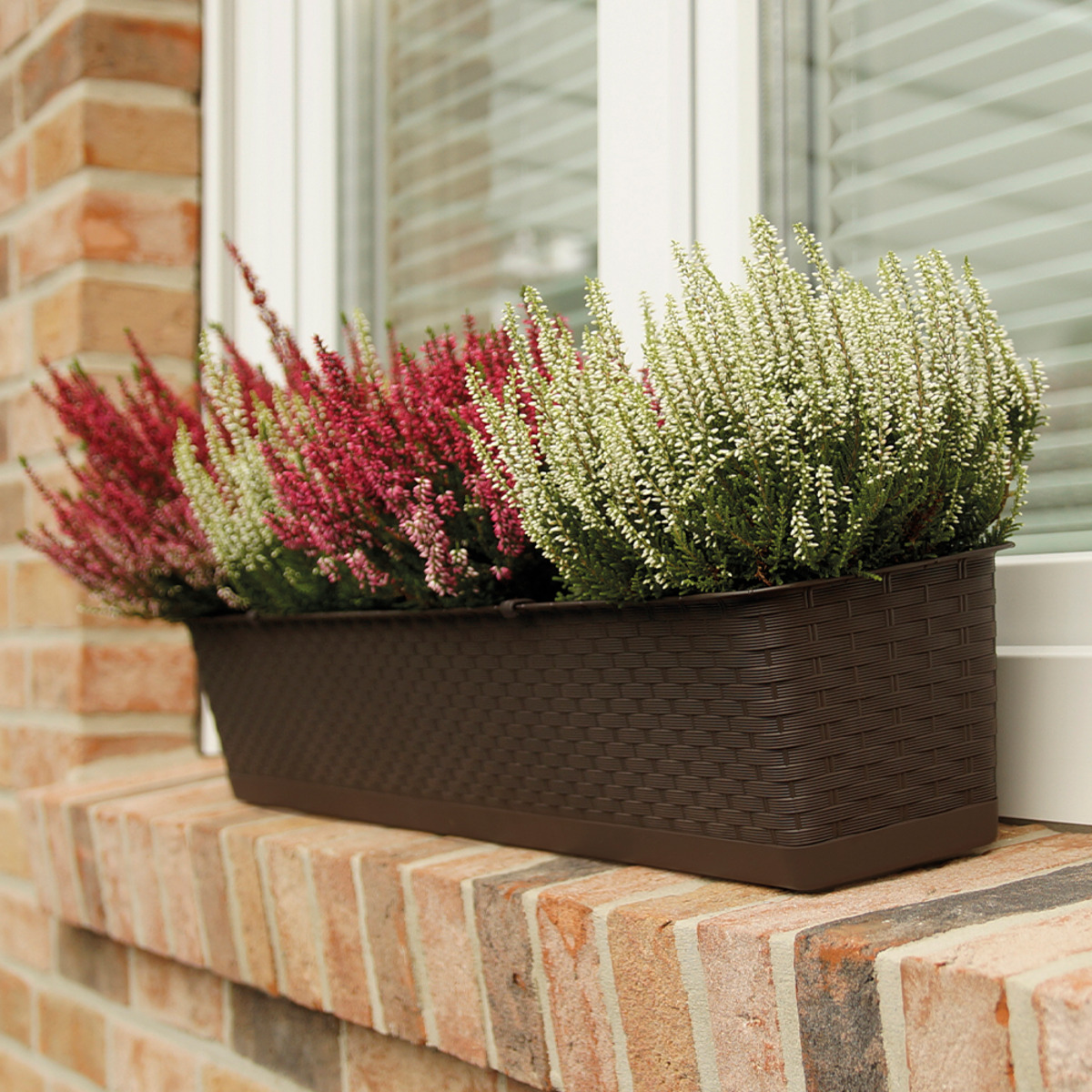 Bild 1 von Powertec Garden Pflanzkasten einzeln 60cm  Braun