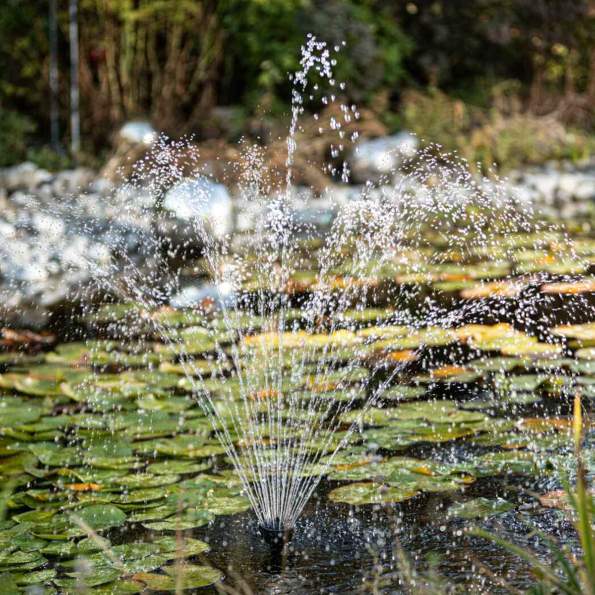 Bild 3 von Scheppach Springbrunnenpumpe ECO FTP1750