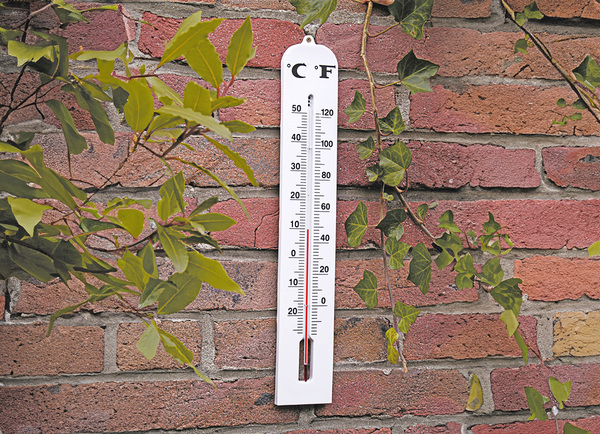 Bild 1 von Jumbo-Gartenthermometer  Temperaturanzeige in °C und °F