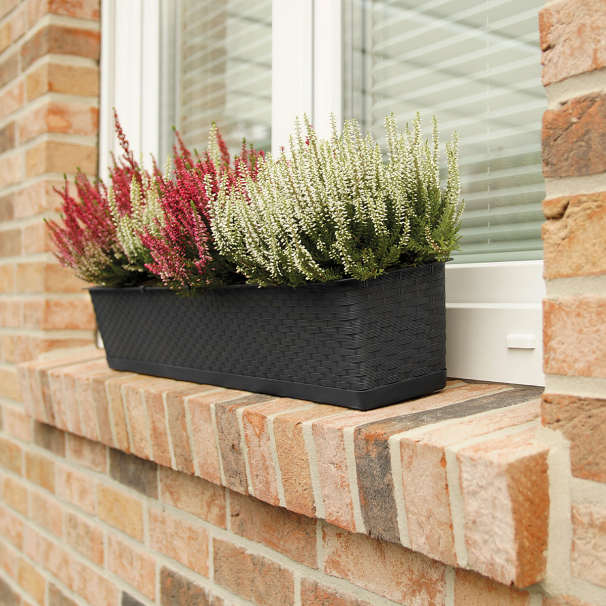 Bild 1 von Powertec Garden Pflanzkasten Single groß