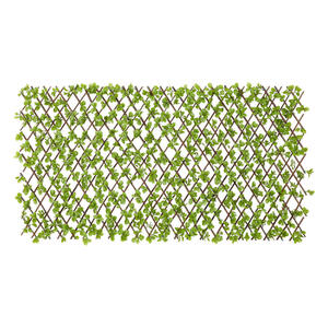 Garden Deluxe Dekozaun Jadeblatt grün B/H/L: ca. 100x0,3x200 cm