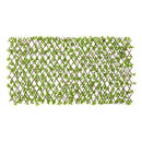 Bild 1 von Garden Deluxe Dekozaun Jadeblatt grün B/H/L: ca. 100x0,3x200 cm