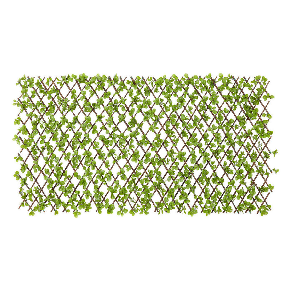 Bild 1 von Garden Deluxe Dekozaun Jadeblatt grün B/H/L: ca. 100x0,3x200 cm