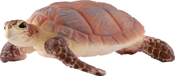 Bild 1 von Schleich 14876 Echte Karettschildkröte