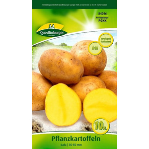 Quedlinburger Pflanzkartoffel 'Gala' gelb 10 Stück