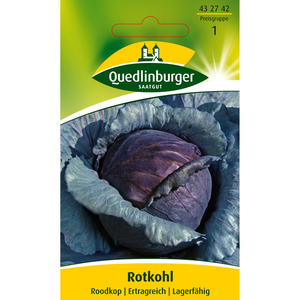 Quedlinburger Rotkohl 'Roodkop 2'