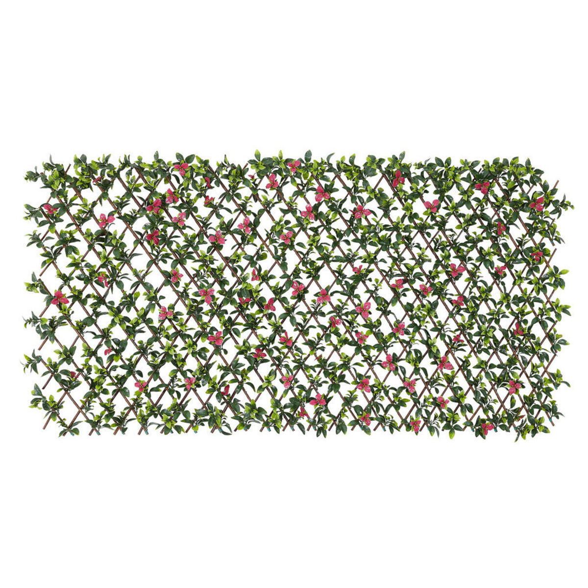 Bild 1 von Garden Deluxe Dekozaun Pulmeria grün B/H/L: ca. 100x0,3x200 cm