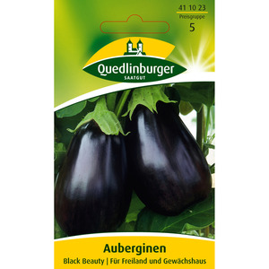 Quedlinburger Aubergine 'Black Beauty'