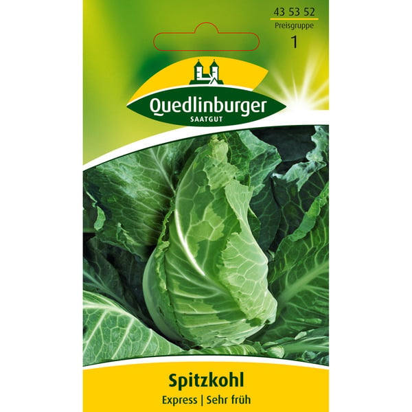 Bild 1 von Quedlinburger Spitzkohl 'Express'