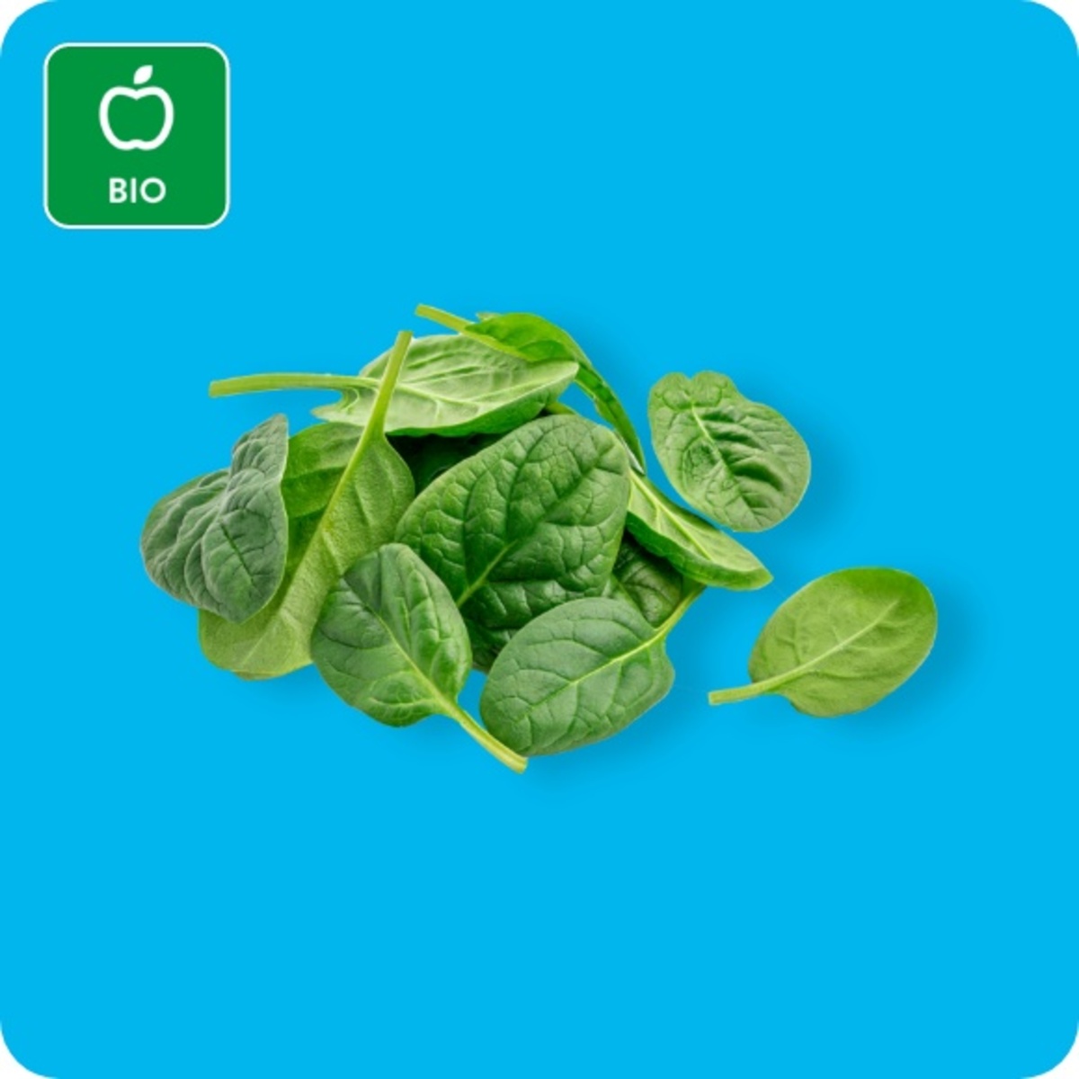 Bild 1 von GUT BIO Bio-Babyspinat, Ursprung: Spanien / Italien