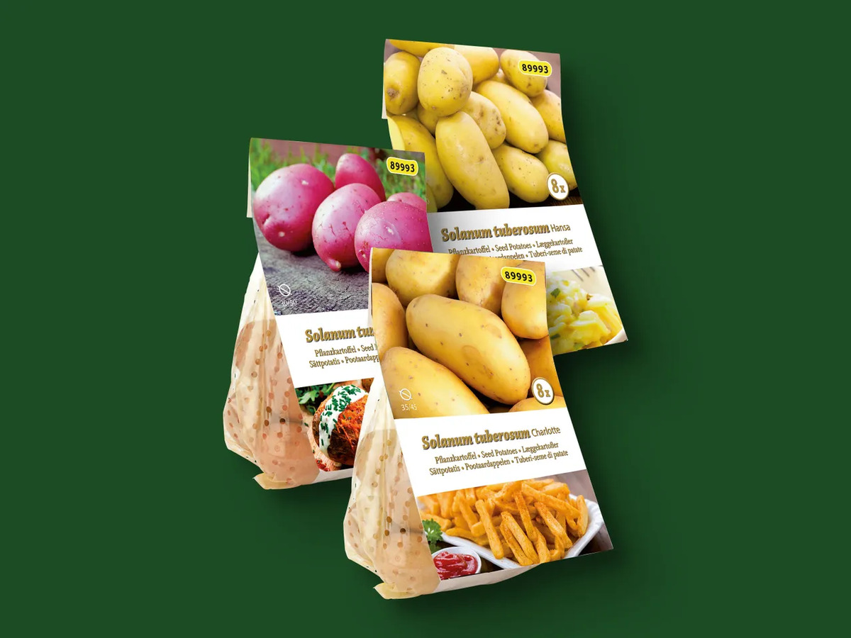 Bild 1 von Pflanzkartoffeln, 
         Beutel