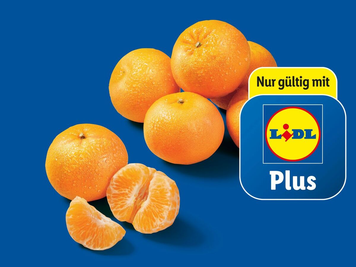 Bild 1 von Mandarinen/Clementinen, 
         1 kg