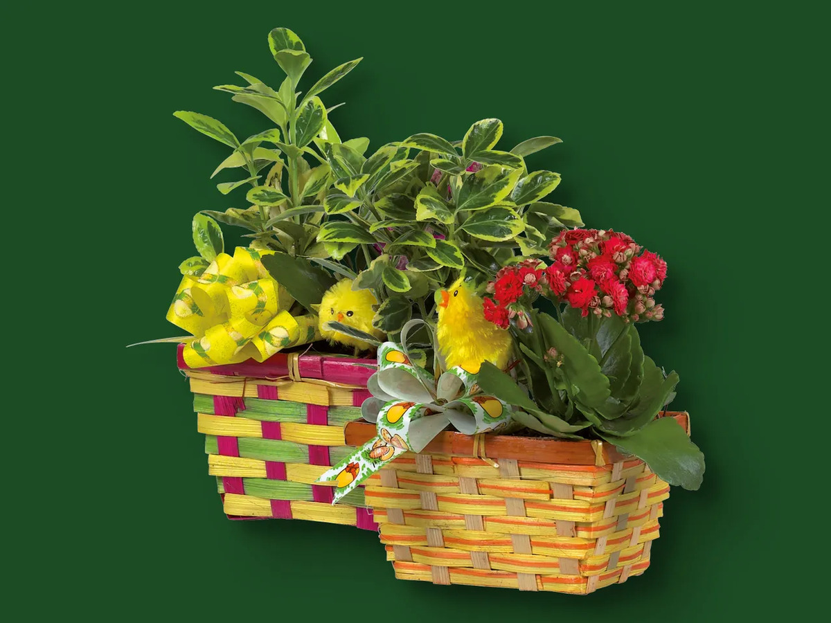 Bild 1 von Osterkorb, 
         Korb