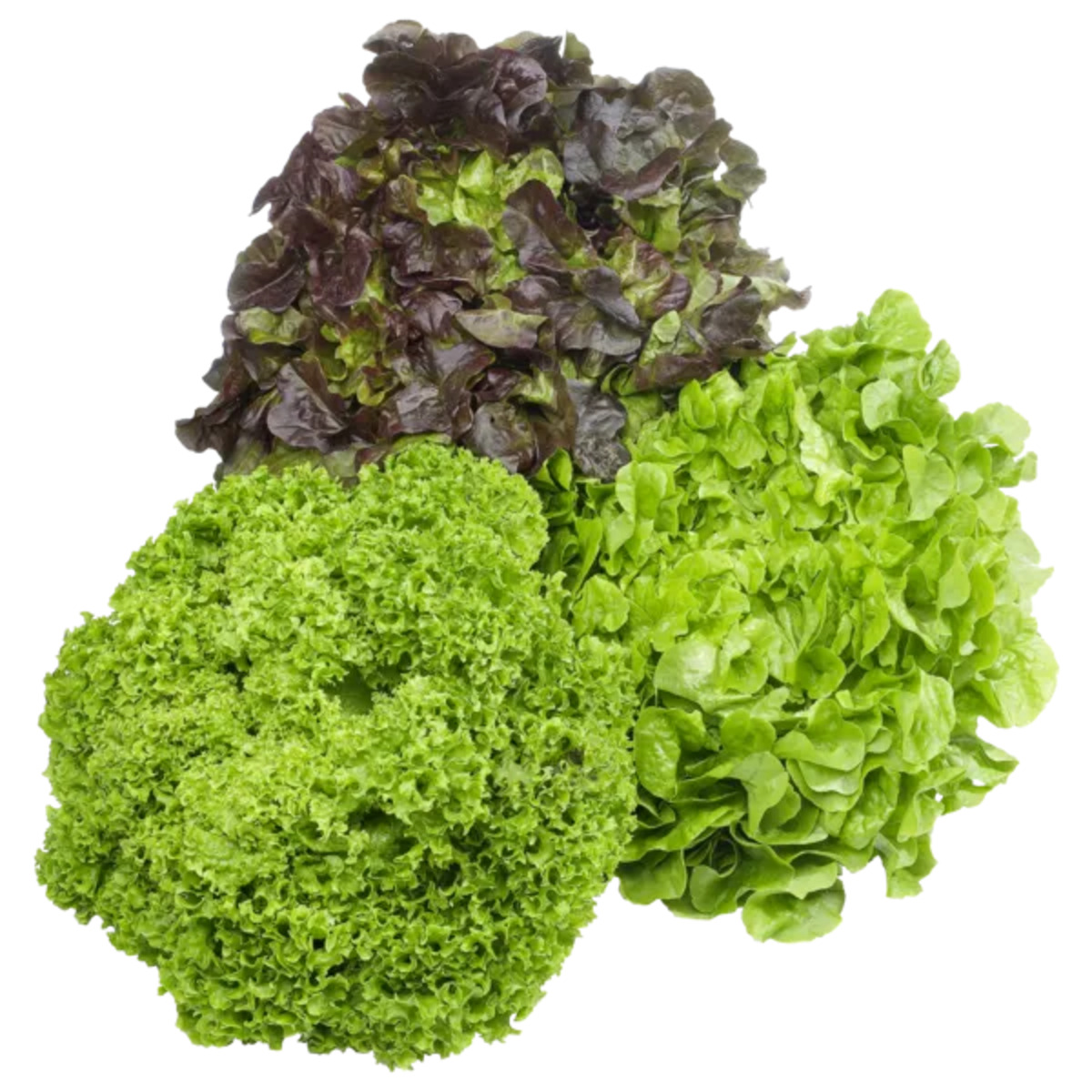 Bild 1 von Frankreich
Bunte Salate