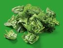Bild 1 von Spinat, 
         500 g