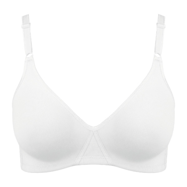 Bild 2 von NUR DIE BH