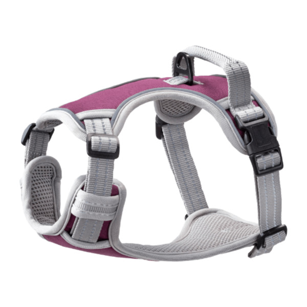 Bild 2 von ROMEO Outdoor-Hundegeschirr